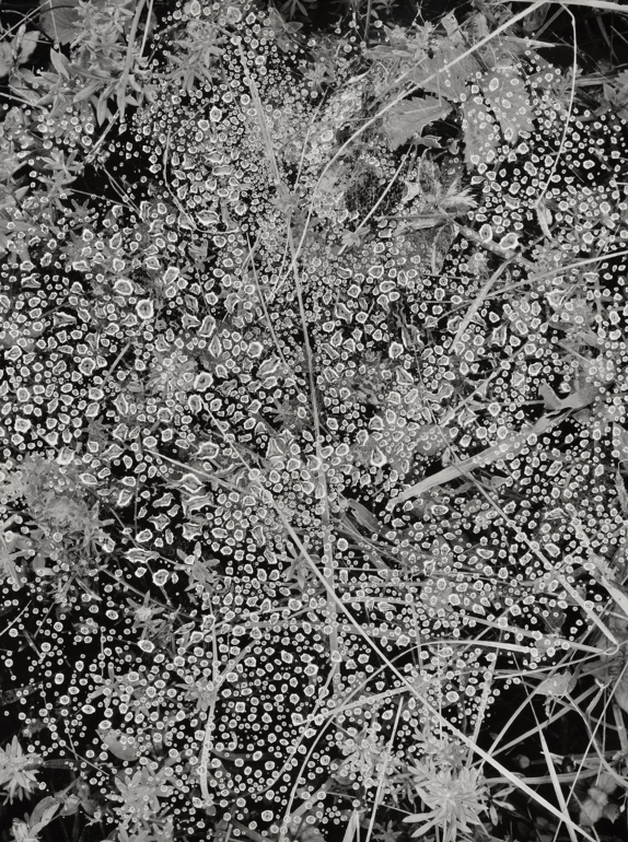 Carousel Image number 4